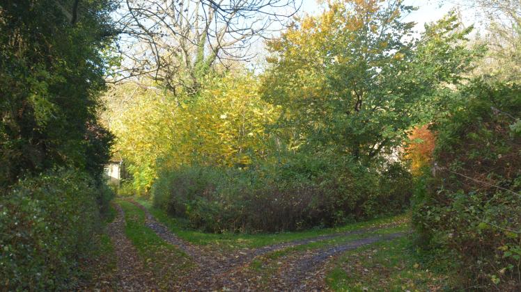 Wohnraum in der alten Försterei Schleswig: Augenmaß ist gefragt