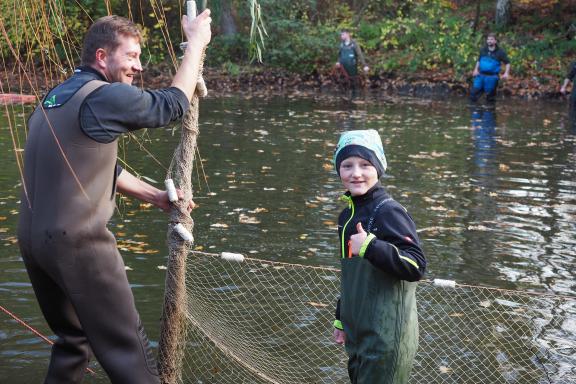 Schlammige Angelegenheit Angler holen Karpfen aus dem BirkenhainTeich