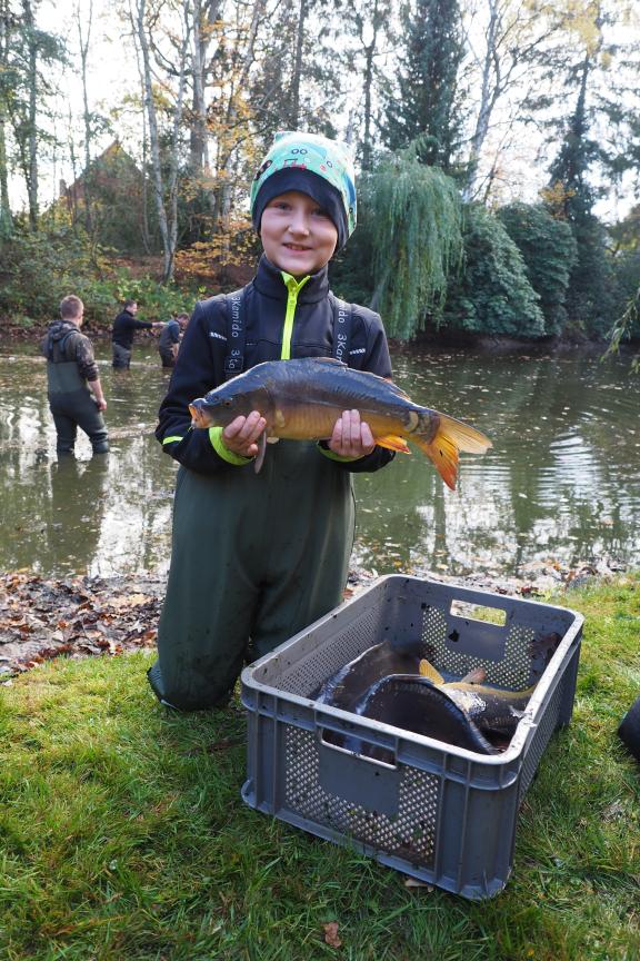 Schlammige Angelegenheit Angler holen Karpfen aus dem BirkenhainTeich