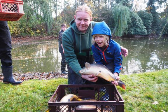 Schlammige Angelegenheit Angler holen Karpfen aus dem BirkenhainTeich
