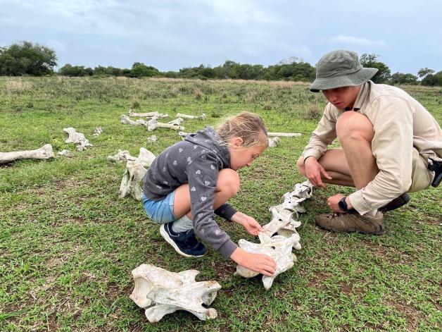 Ella und ein Ranger schauen sich das Skelett einer Giraffe an. Ella und ein Ranger schauen sich das Skelett einer Giraffe an.