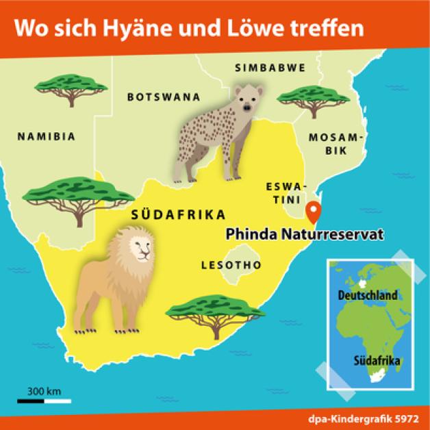 Hier erkennst du, wo das Phinda Naturreservat liegt. Hier erkennst du, wo das Phinda Naturreservat liegt.