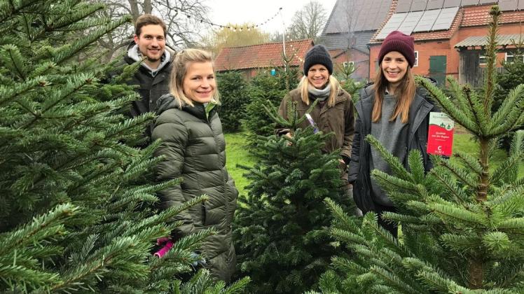 Auch dieses Jahr bietet der Hof Sudau in Hasbergen wieder Weihnachtsbäume an. v.l.: Alexander Gehlken, Lena Sudau, Jana Schneebecke und Stina Gehlken.