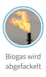 Cover_Biogas.jpg