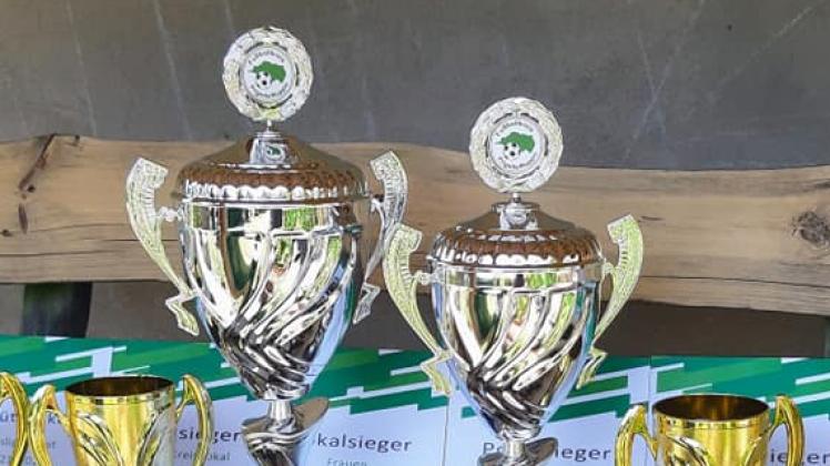 In den Pokal-Wettbewerben des Fußballkreises Prignitz-Ruppin steht am Sonntag das Viertelfinale an. Die Sieger kommen dem Griff an den Pott einen Schritt näher.