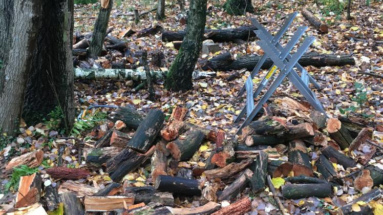 gefälltes Holz im Wald nahe Vossegge, Bad Iburg, 17.11.2022 // Baumfrevler