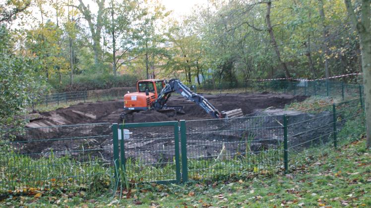Teich im Bürgermeistergarten in Wilster wird verkleinert
