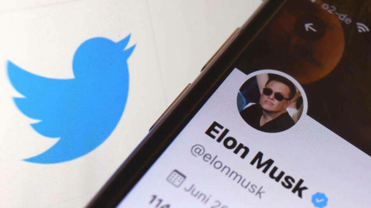 Twitter-Häkchen lahmgelegt - Musk will Fake-Accounts stoppen