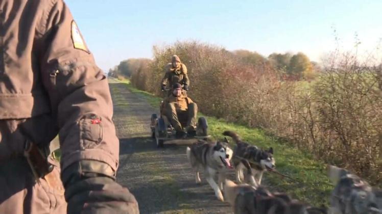Ohne Schnee: Mit dem Hundeschlitten durch Niedersachsen Ohne Schnee: Mit dem Hundeschlitten durch Niedersachsen