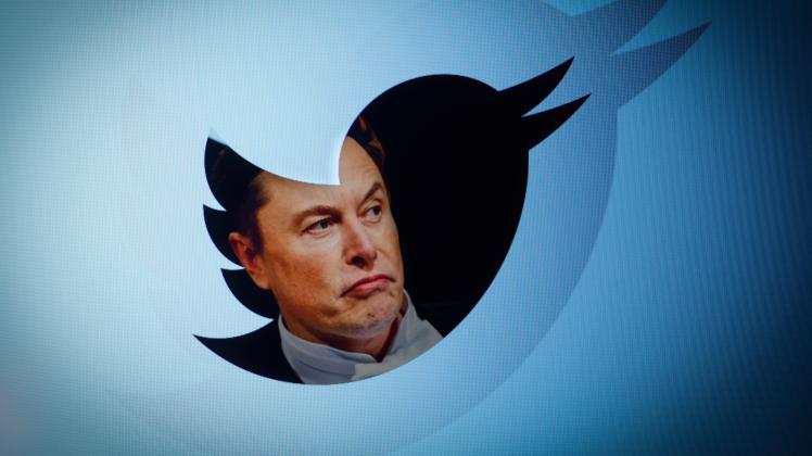 Twitter Introduces New Official Badge For Users For Free Twitter owner Elon Musk is seen with a Twitter logo in this pho