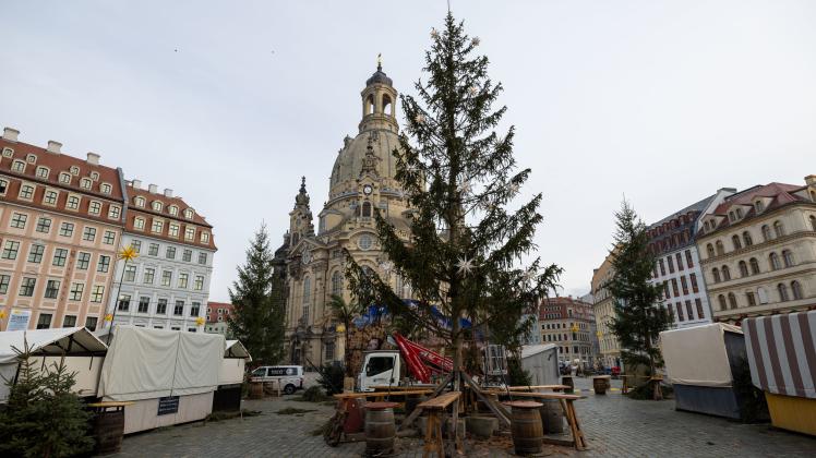 Lichter Weihnachtsbaum vor der Dresdner Frauenkirche
