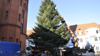 Der Weihnachtsbaum ist auf dem Großen Markt angekommen.