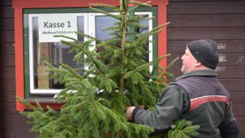 Am 2. Dezember geht es los: Revierförster Roger Kähler bereitet den Weihnachtsbaumverkauf in der alten Forstbaumschule in Hinrichshagen vor. 