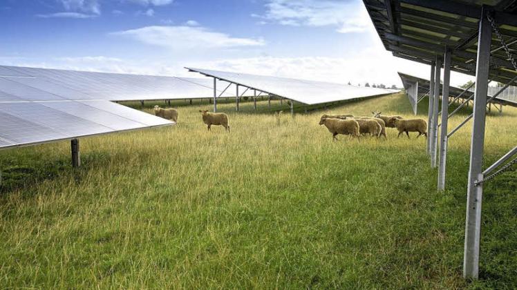 Auf einer FlÃ¤che von 50 Hektar soll bei Hohenfelde eine Photovoltaikanlage errichtet werden. 
