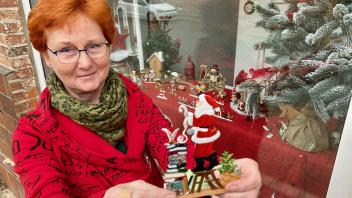 Hunderte Stunden Arbeit investierte Christine Rohmann, um eine farbenfrohe Weihnachtswelt im Kleinformat zu erschaffen. 