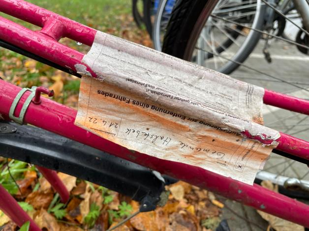 design fahrrad wandhalterung madeco Fahrrad Wandhalterung Holz - FlyBike S Eiche
