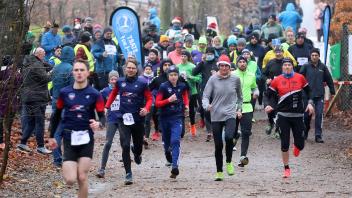 Im vergangenen Jahr machten sich 240 Läuferinnen und Läufer auf den Weg durch den Flensburger Volkspark.