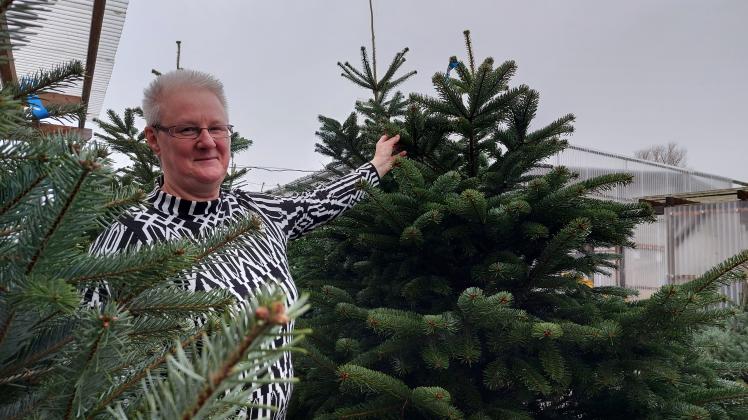 Seit dieser Woche verkauft Birgit Ebert vom Haus- Hof- und Gartenmarkt in Brüel wieder Weihnachtsbäume. 