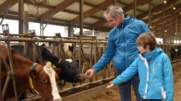 „CrowdFarming“: Engelnhof in Papenburg bietet Kühe zur Adoption an