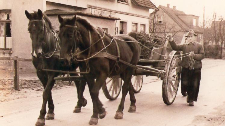 Pferdewagen auf der Stedinger Straße waren in den 1950er Jahren in Bookholzberg nichts Ungewöhnliches. 