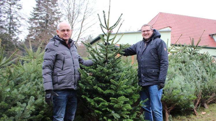 Weihnachtsbaumverkauf Am Forstamt Güstrow Lockte Viele Gäste An | SVZ