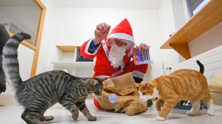 Weihnachtsbescherung für Tiere im Bremer Tierheim