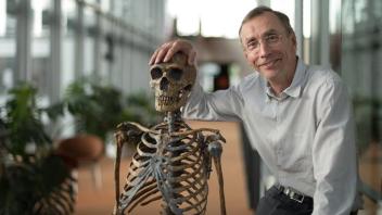 Der Neandertaler und wir: Svante Pääbo faszinieren die Genome unserer Vorfahren. Er bekommt für seine Forschung den Nobelpreis für Medizin.