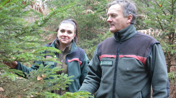 Forstamtsleiter Jörg Schröder und Miroslava Kamzikova laden zum Weihnachtsfest mit Baumverkauf auf dem Forsthof Kaliß ein.