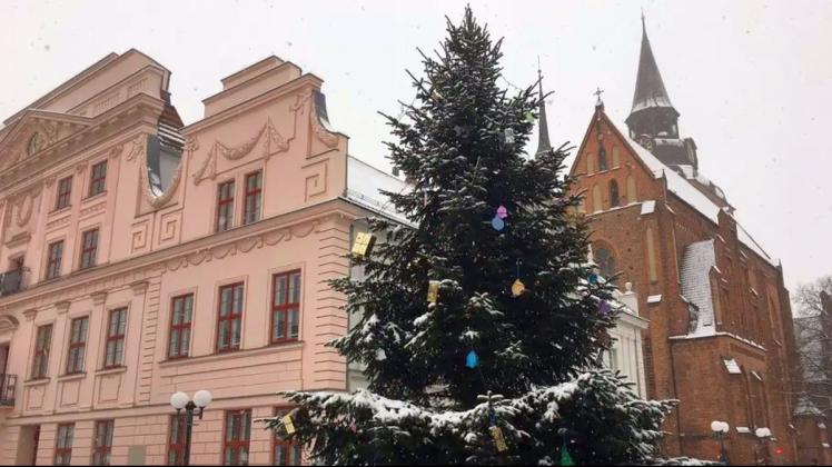 Geschmückter Weihnachtsbaum vor Gebäude
