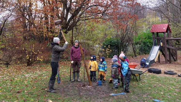 Da staunen die Kinder vom Kindergarten am Burggraben nicht schlecht: Nachdem sie fleißig beim Pflanzen eines Walnussbaums mitgeholfen haben, kommt ein großer Hammer zum Einsatz, um den Baumpfahl in den Boden zu treiben.