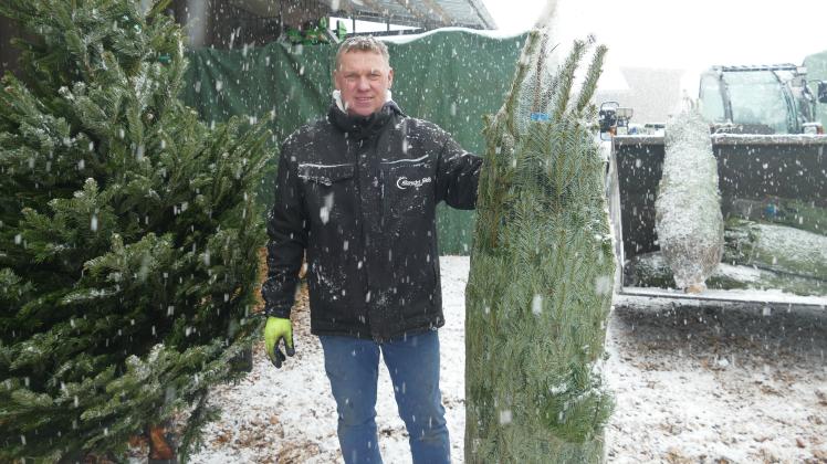 Landwirt Jens Albrecht steckt mitten in den Vorbereitungen zum Weihnachtsbaumverkauf.