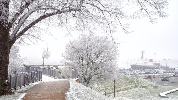 Feiner, an Puderzucker erinnernder Schnee bedeckt Autos, Zweige, Bäume in Rostock. Der in der Nacht gefallene Schnee blieb mangels Wind eine Weile liegen…
Foto: Georg Scharnweber
