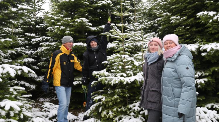 Familie Kosslitz aus Eckernförde sucht jedes Jahr Weihnachtsbäume, die eine Armlänge höher sind als Sohn Yannick. Die Entscheidung fällt dann zusammen mit den Eltern Andrea und Roger Kosslitz und Tochter Alexandra.