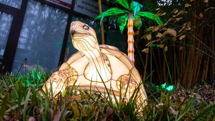 Weihnachstmarkt im Zoo: leuchtende Tierfiguren weisen den Weg