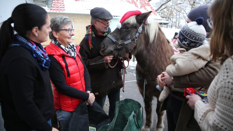 Islandpferde bringen die Geschenke für die Kinder in Weitendorf.