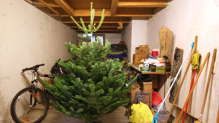 Frostiges Winterwetter: Lagertipps für den Weihnachtsbaum