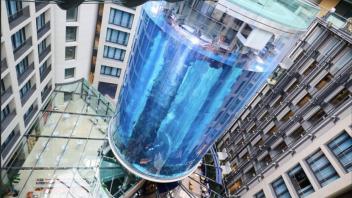 16 Meter hohes Aquarium in Berlin geplatzt