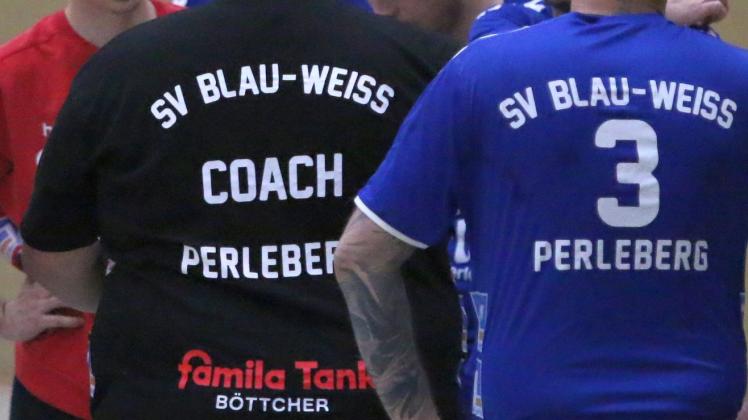 Handball-Symbolbild Blau-Weiß Perleberg
