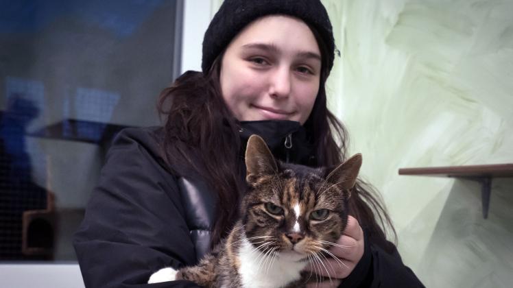 Die zutrauliche Samtpfote Lucia, 14 Jahre alt, weiß nichts davon, dass die Behandlung durch den Tierarzt jetzt teurer ist, Tierpflegerin Jana Güler vom Tierheim Bergedorf hingegen schon.