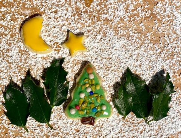 Kiwi Wettbewerb Weihnachtsbäume 2022 Kiwi Wettbewerb Weihnachtsbäume 2022