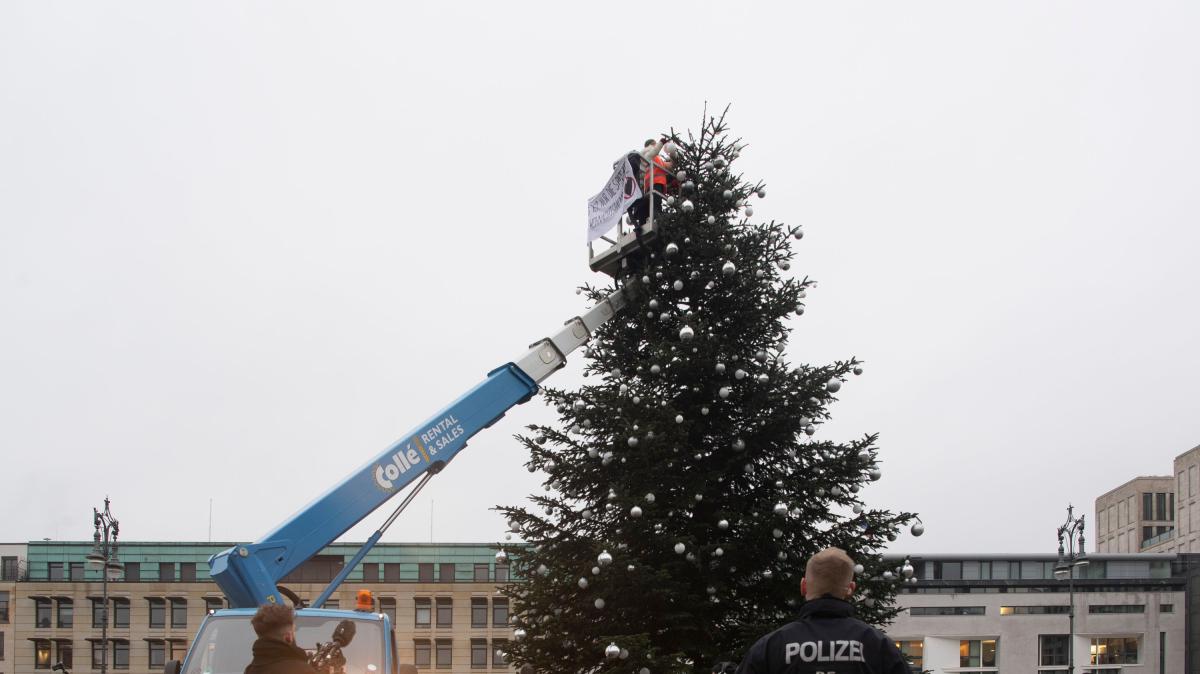 „Letzten Generation“ sägt Weihnachtsbaum am Brandenburger Tor ab | NOZ