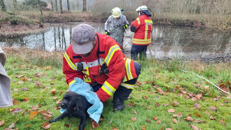 Die Feuerwehr Badbergen rettete einen Hund, der auf einem Teich im Eis eingebrochen war.