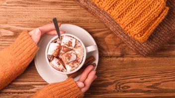 Female hands with cup of cacao flat lay Cozy winter flat lay, female hands holding cup with hot chocolate or cocoa with