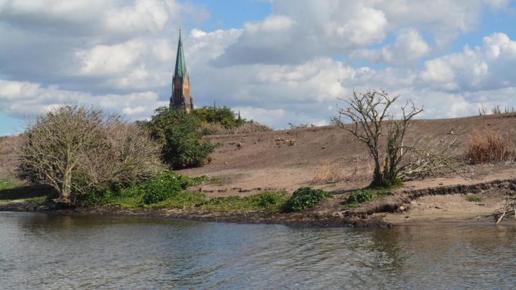 Auf großen Flächen der Schleswiger Möweninsel wächst nichts mehr. Das Eiland ist deshalb Wind und Wellen schutzlos ausgeliefert und das Bodendenkmal Jürgensburg bedroht.