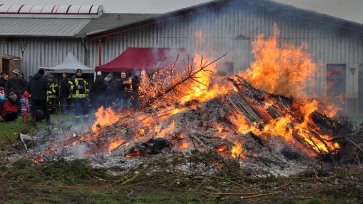 In Diesen Orten Werden Die Weihnachtsbäume Verbrannt | SVZ