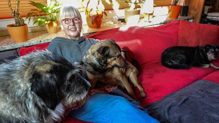 Die Hunde Helena, Bela und Leyla (von links) haben bei Ulrike Schmidt in neues Zuhause gefunden.