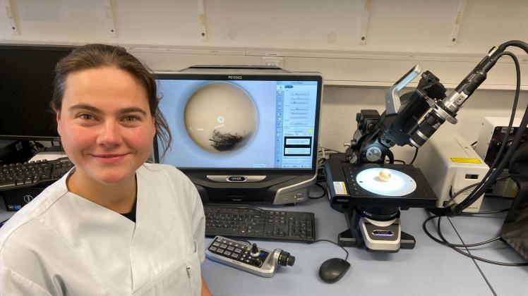 Jessica Hembus bei der Betrachtung der Auflagerungen auf einem Hüftkopf am Digitalmikroskop