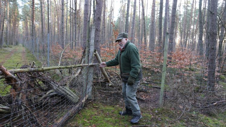 Waldbesitzer Manfred Otto zeigt nahe Neu Zachun eine Stelle, an der einer seiner Wildzäune immer wieder von Unbekannten aufgeschnitten wird.