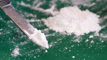 Zoll stellt rund 2,6 Tonnen Kokain im Hafen sicher