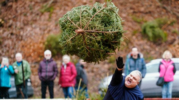 Künstlicher Baum statt Weihnachtstanne